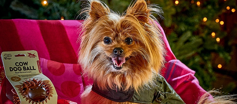 Gifts for Pets